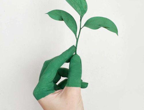 Hidroconstructia Manicesti